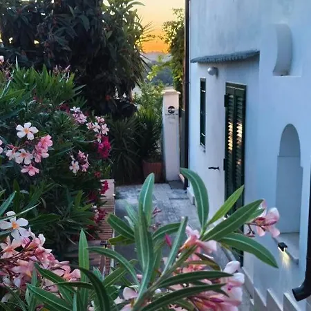All'ombra Del Pino Turistico Apartment *